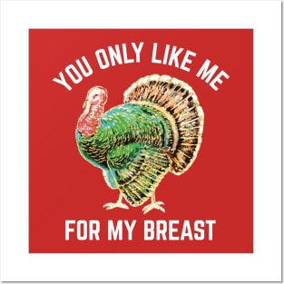 Funny Thanksgiving Like Me For My Breast Posters and Art